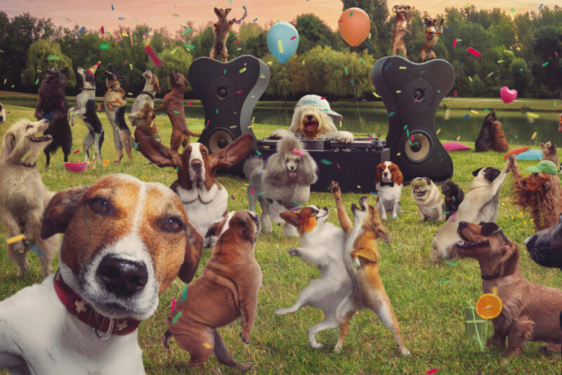 2025 Dog Holiday Calendar: Celebrate Your Furry Friend Year-Round 🐾