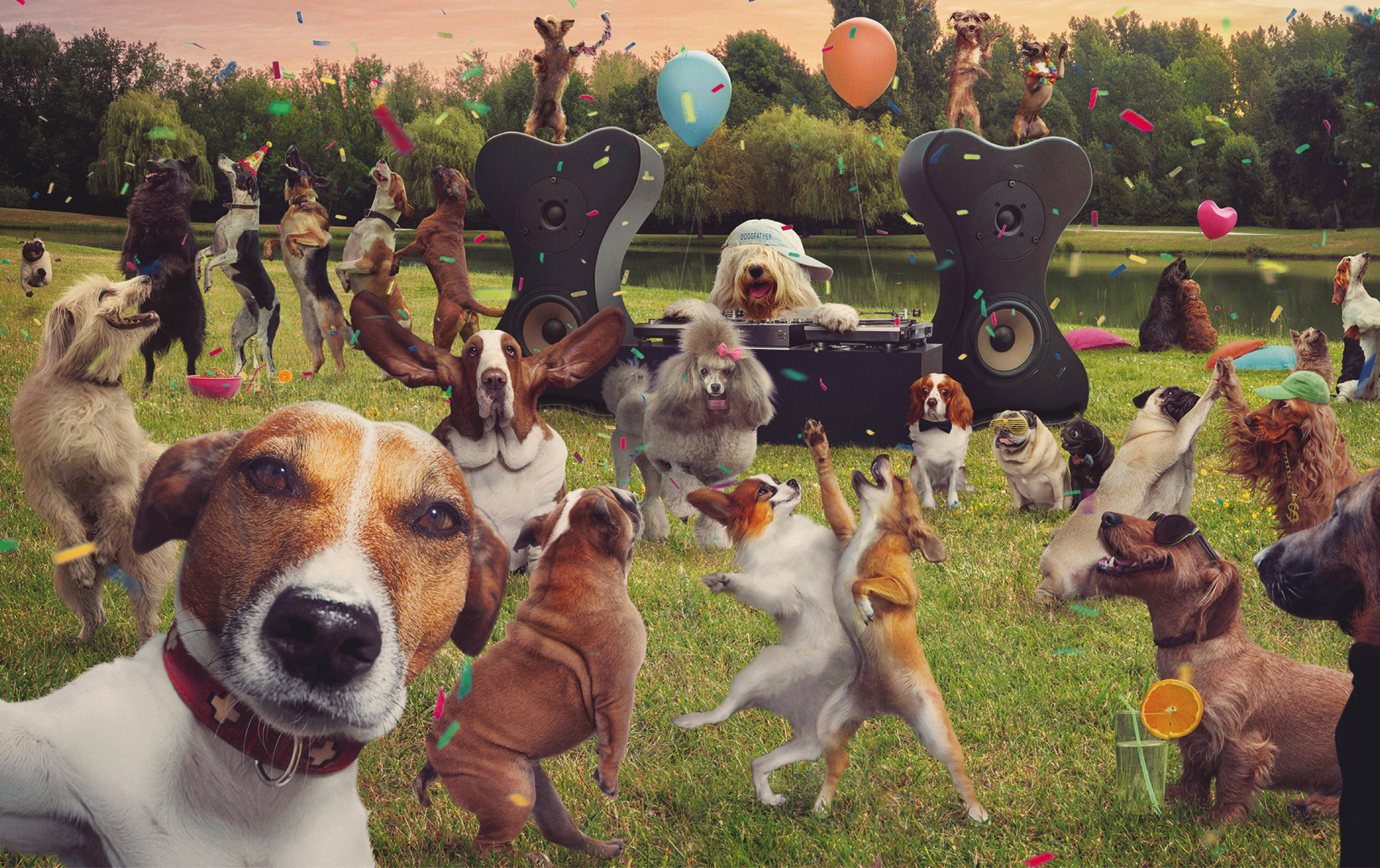 2025 Dog Holiday Calendar 🐾 | Celebrate Every Special Day with Your Pup